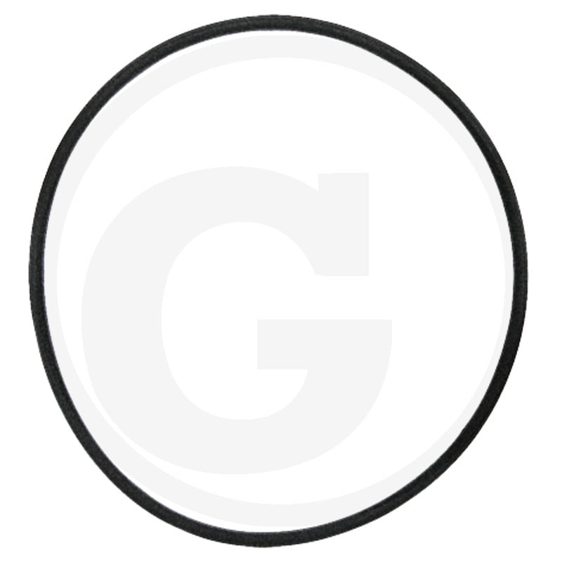O-Ring D 39,2 X 3 (241883)