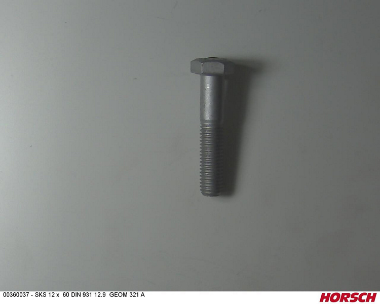 SKS 12 x 60 DIN 931 12.9 GEOM321A