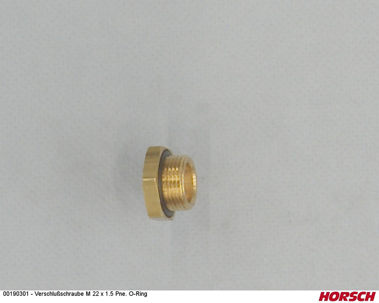 Verschlußschraube M 22 x 1.5 Pne. O-Ring