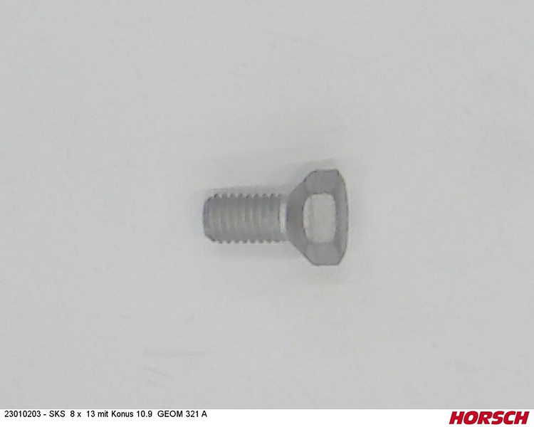 SKS 8 x 13 mit Konus 10.9 GEOM 321 A