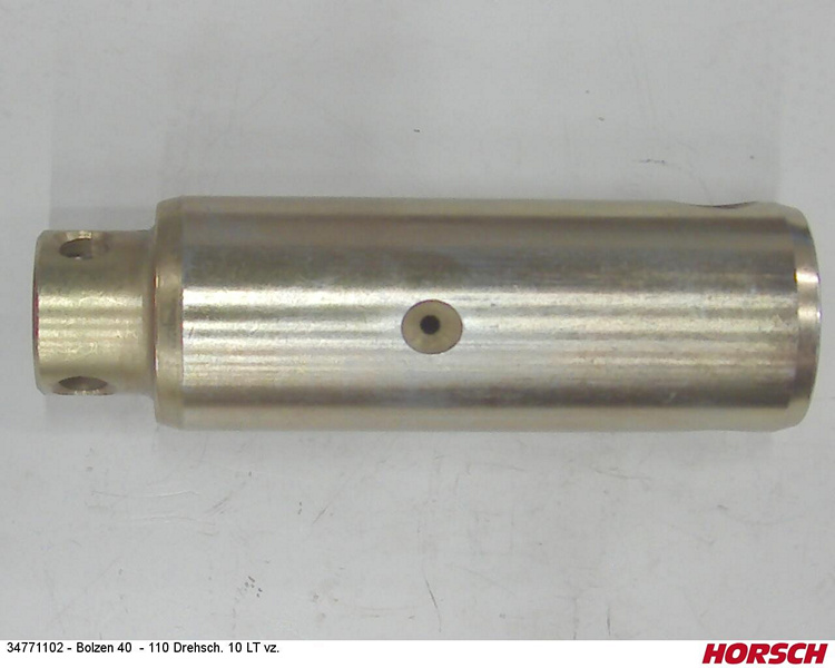Bolzen 40 - 110 Drehsch. 10 LT vz.