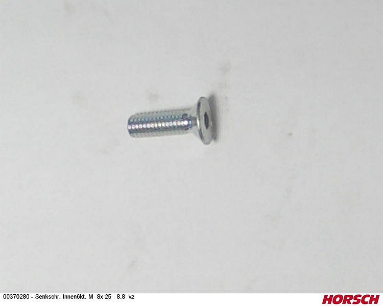 SeSmI 8 x 25 DIN EN ISO 10642 10.9 vz.