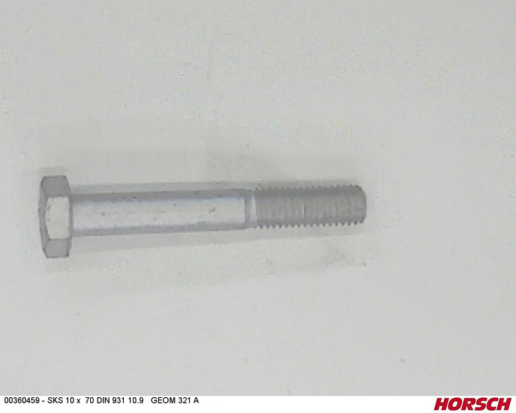 SKS 10 x 70 DIN 931 10.9 GEOM321A