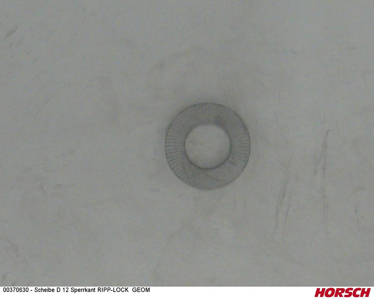 Scheibe D 12 Sperrkant RIPP-LOCK GEOM