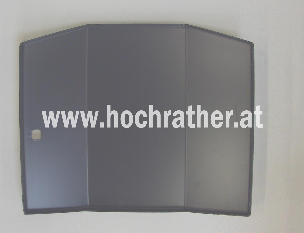 Fronttüre Schleuse - RAL 7024