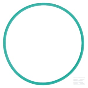 O-Ring 95 x 3,5 Viton