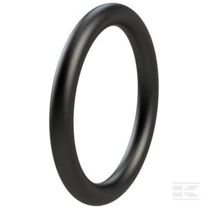 O-Ring 100 x 5,33