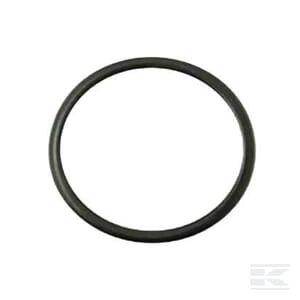 O-Ring