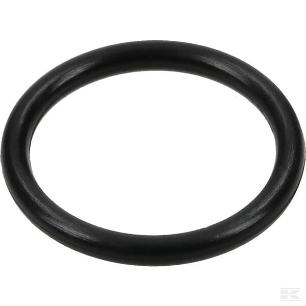 O-Ring