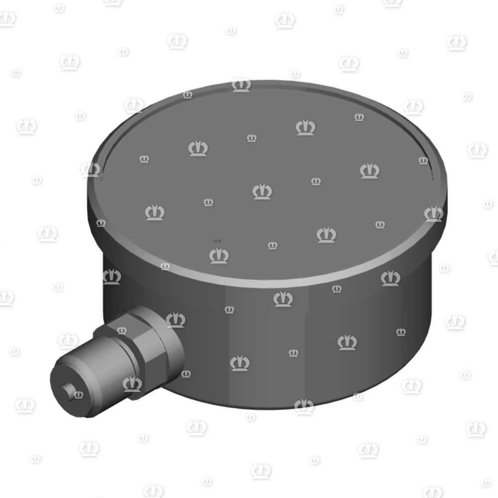 ROHRF.MANOM. 250 BAR