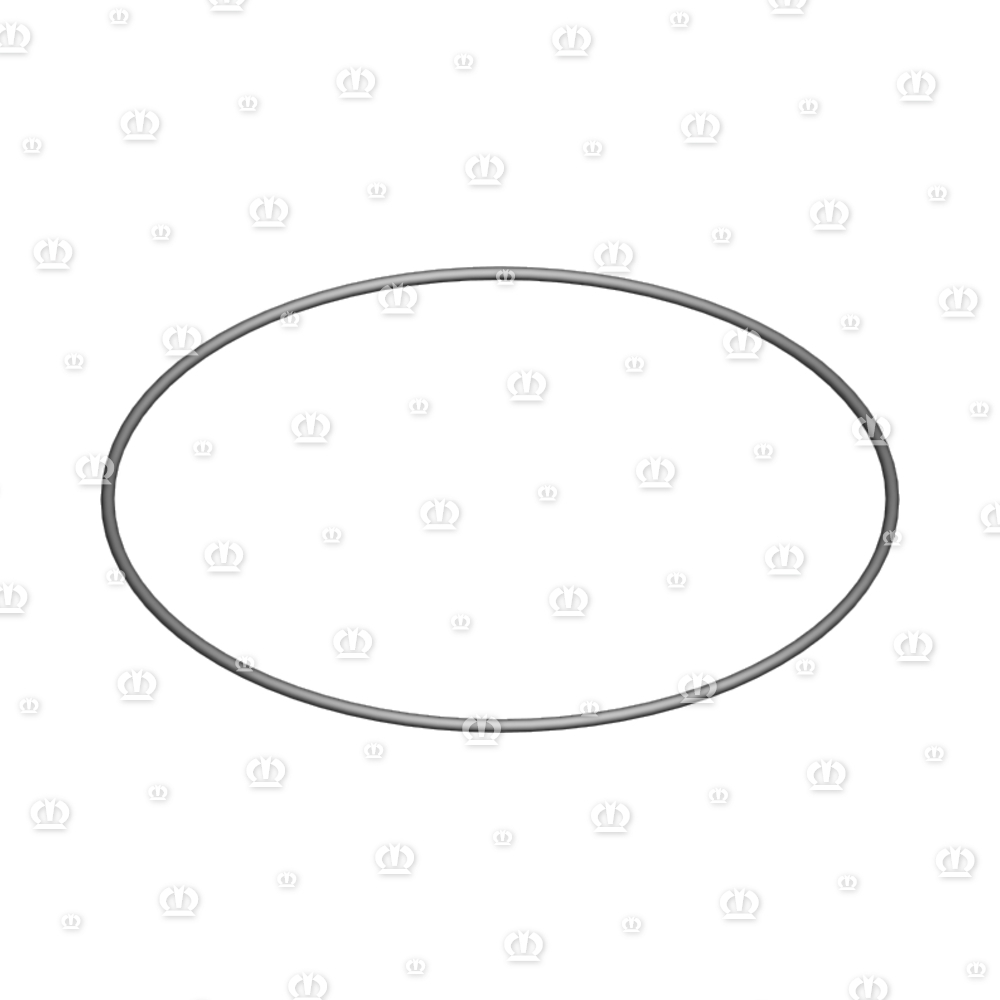 O-RING 101,72 X 1,78