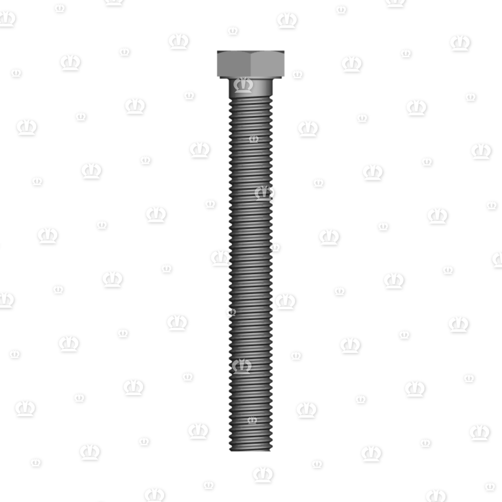 6kt-Schraube M12 x 100