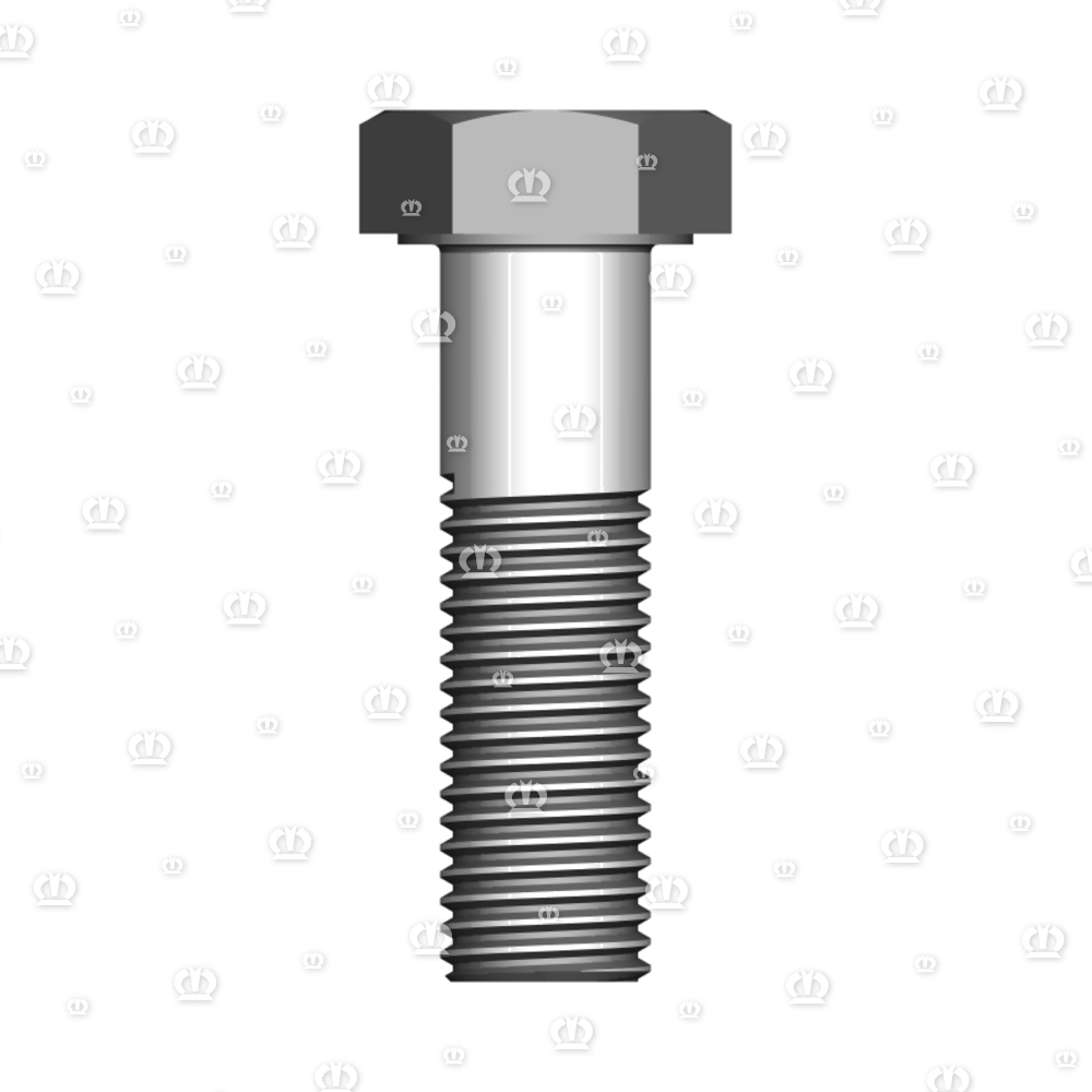 6kt-Schraube M16 x 55