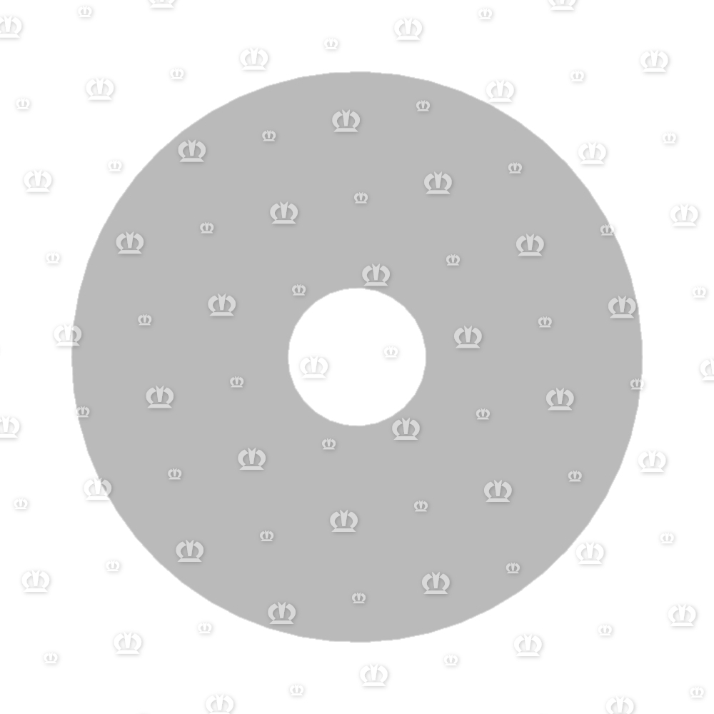 SCHEIBE 17X70X6