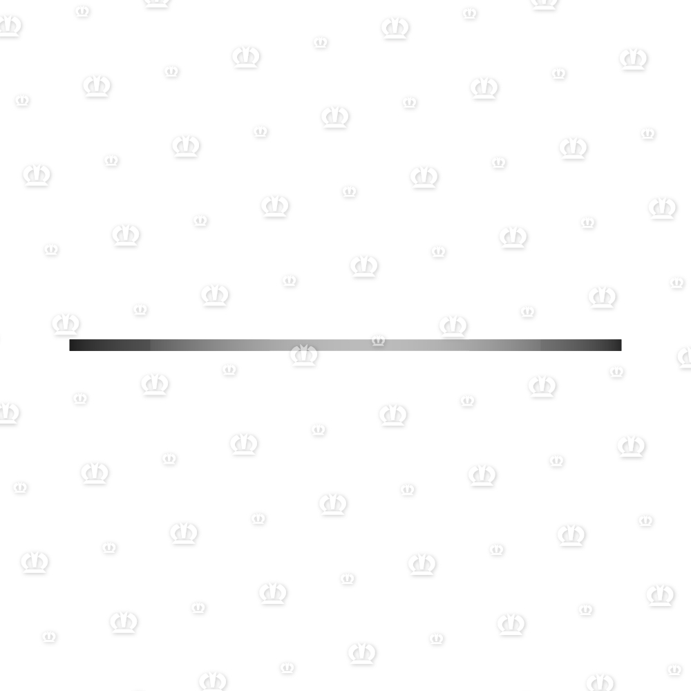 PASSCHEIBE 37X47X1,0