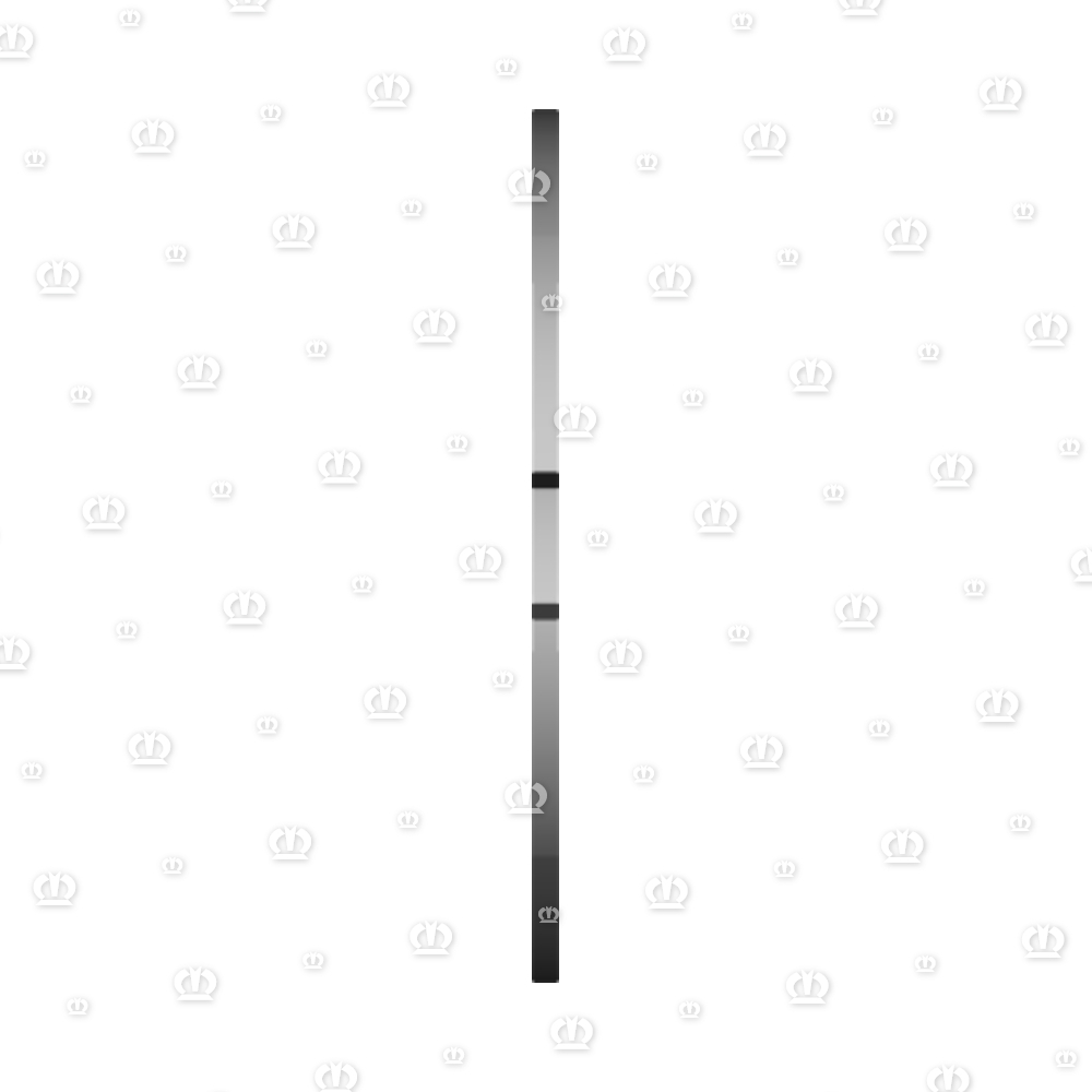 SEEGERRG. I 62X2,0 472