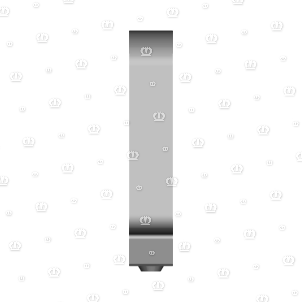 FEDERSTECKBOLZEN 12X55