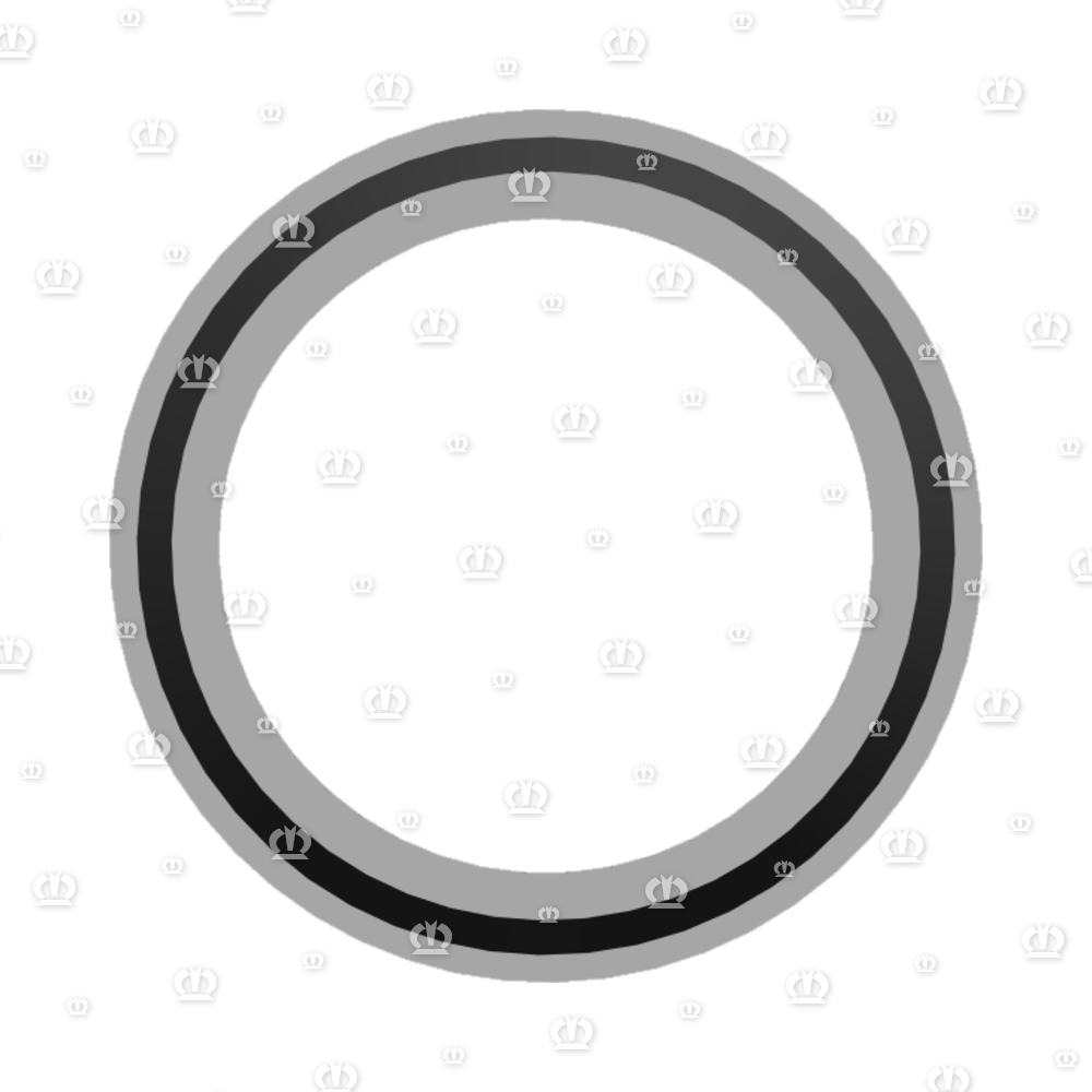 2-SCHNEIDRING LL6