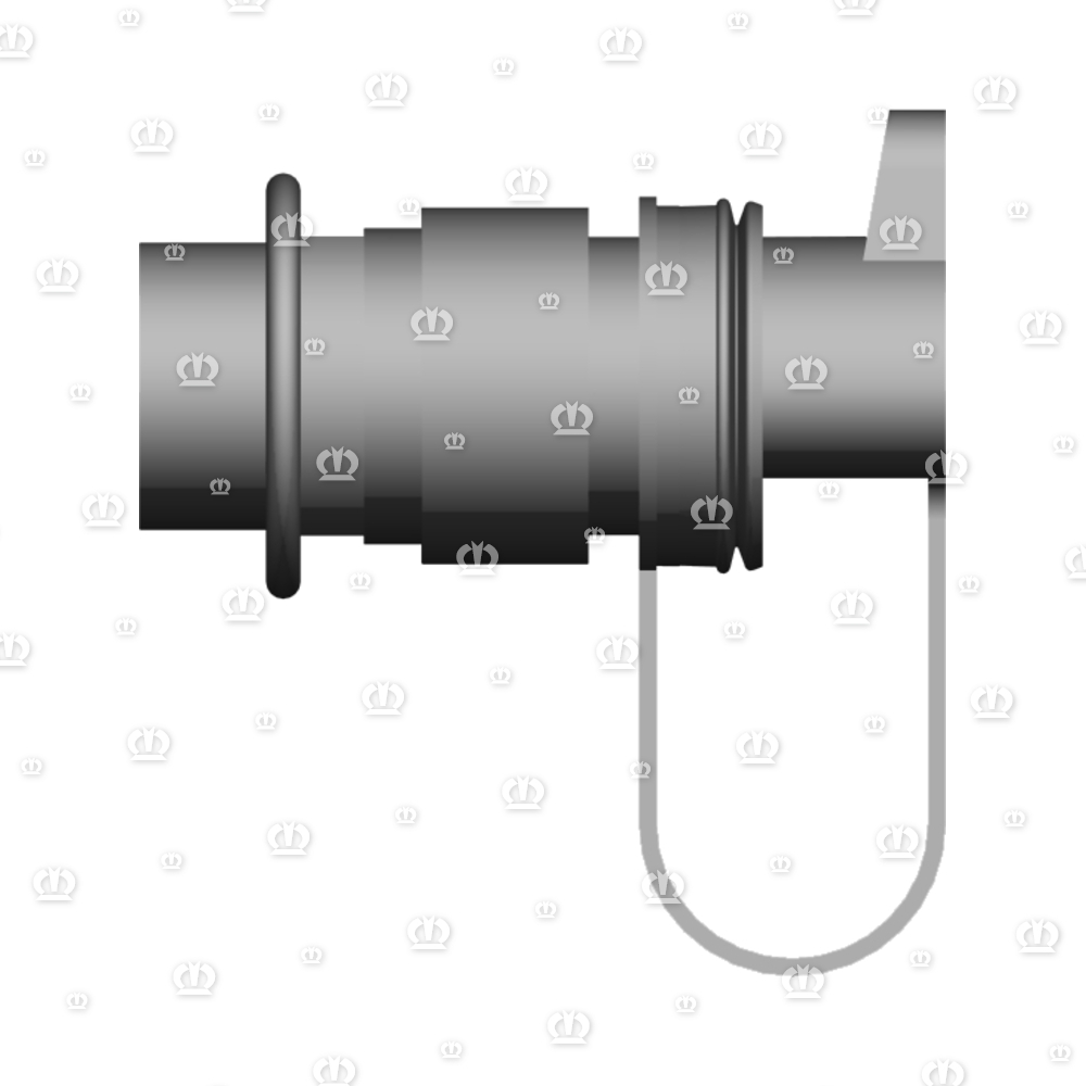 Stecker 2-p St schwarz