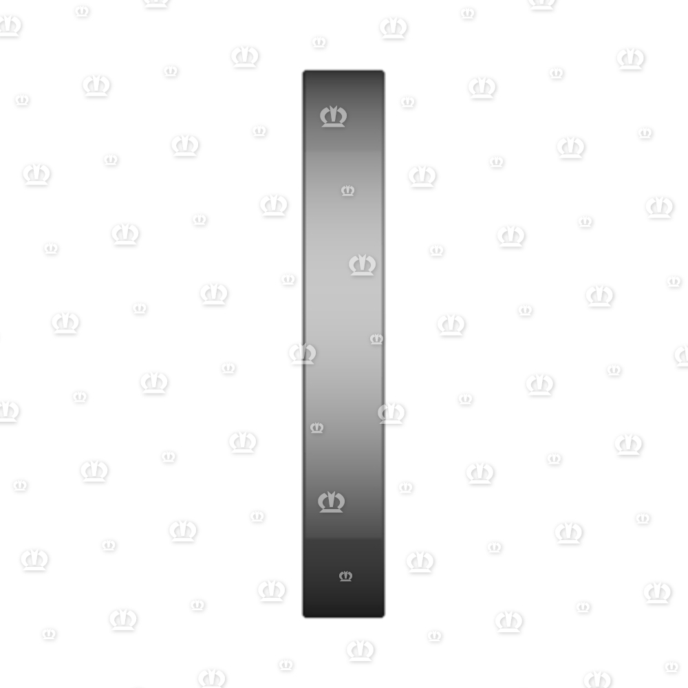SI.RING 35X80X12 B2SL