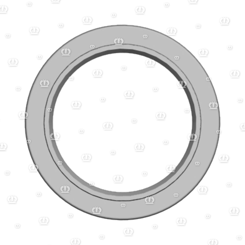 SI.RING 50X70X10 B2