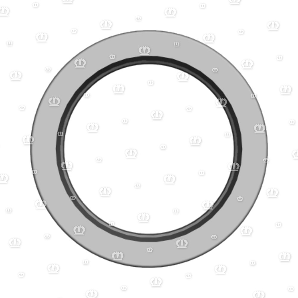 SI.RING 50X70X10 B2