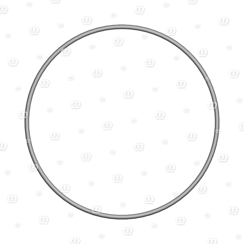 O-RING OR 124,5-3