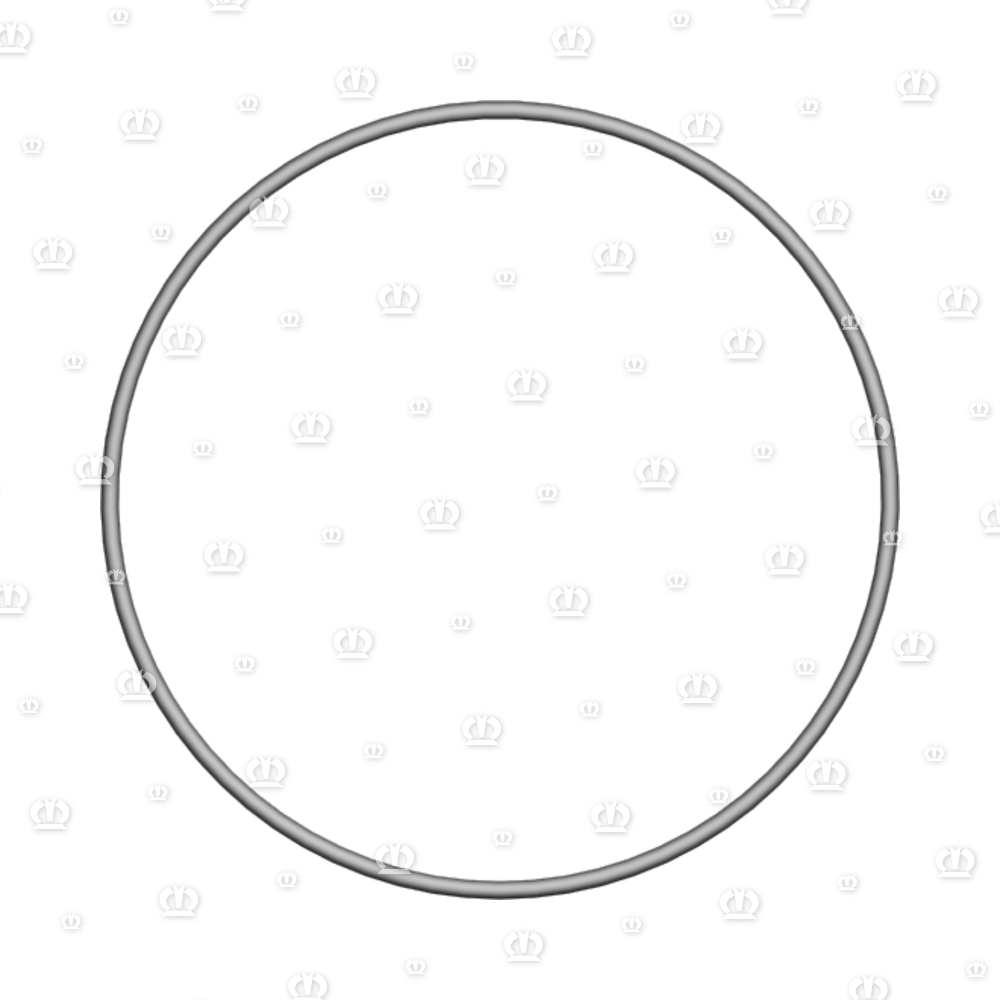 O-RING OR 124,5-3