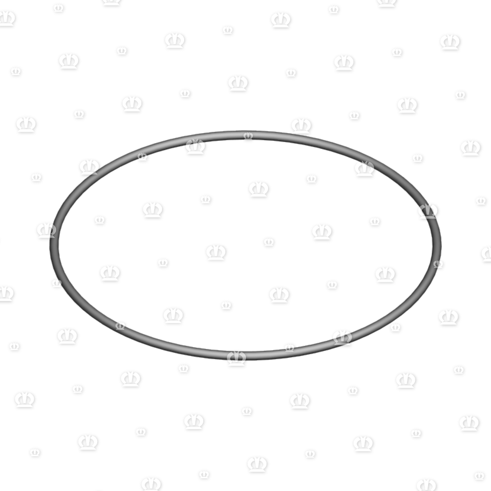 O-RING OR 124,5-3