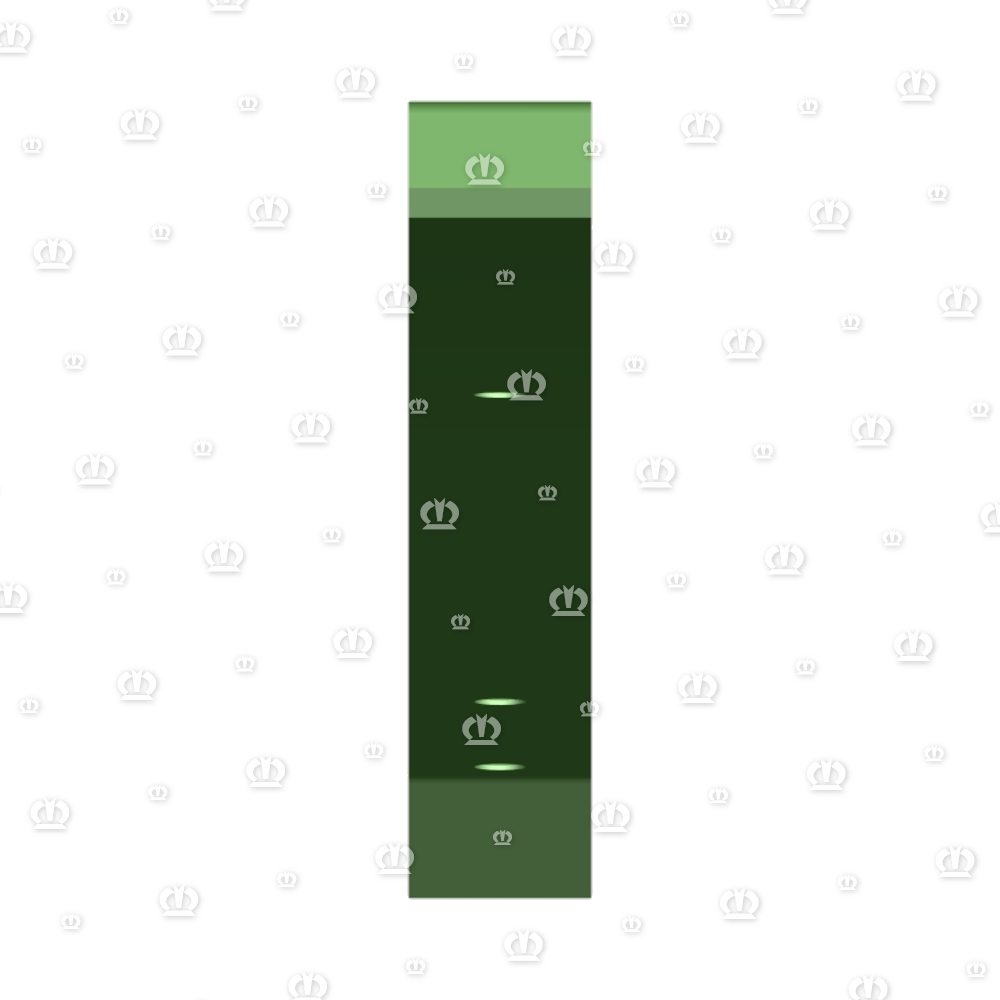Gleitschiene 5358 lang