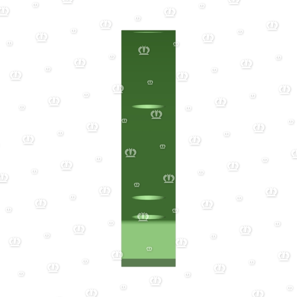 Gleitschiene 5358 lang