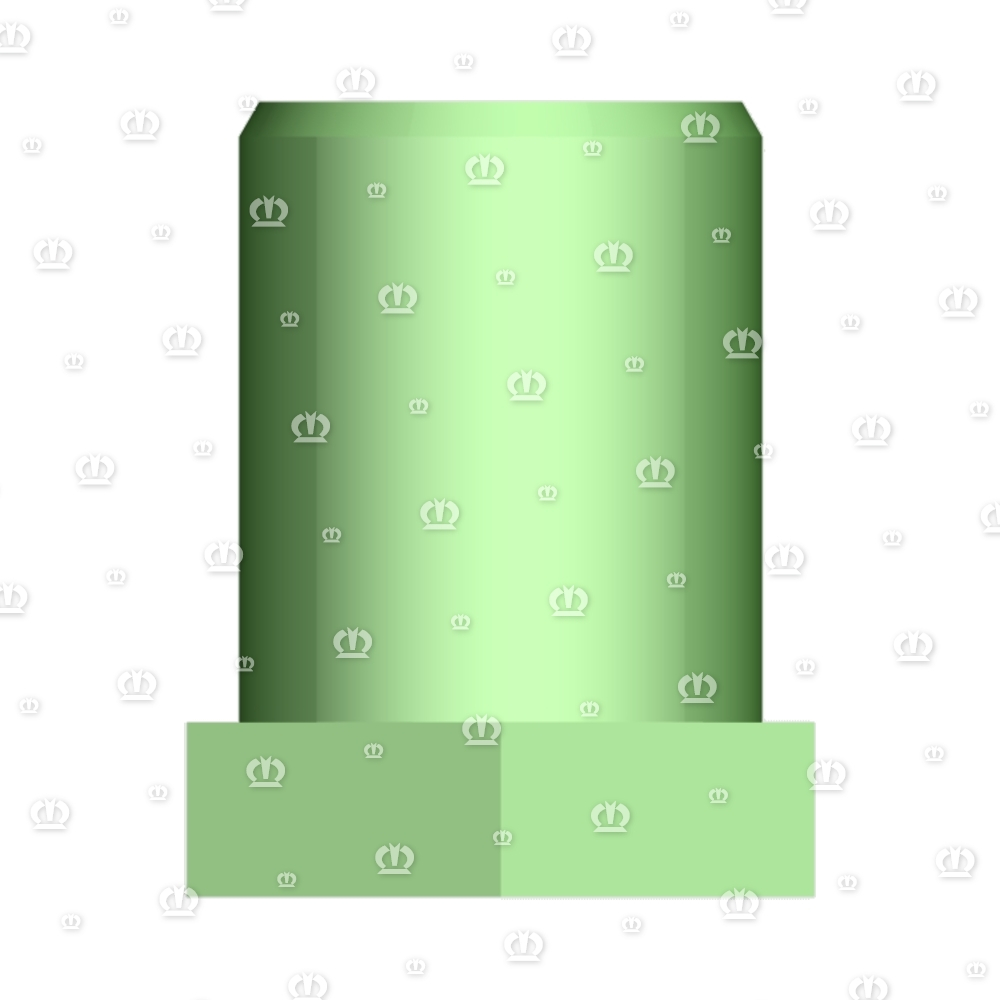 6-kt-Welle Niederhalterrolle