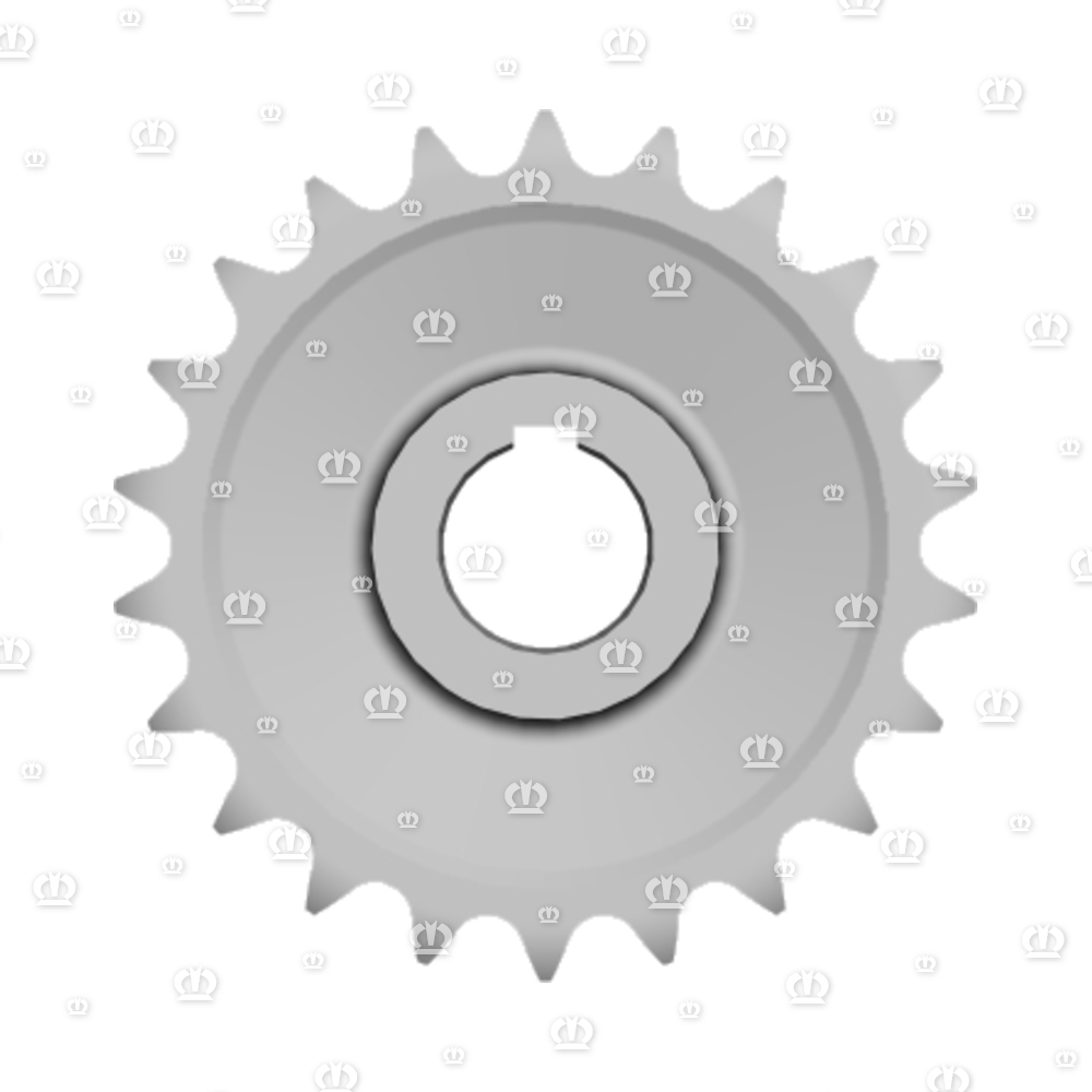 Kettenrad 1" z=22