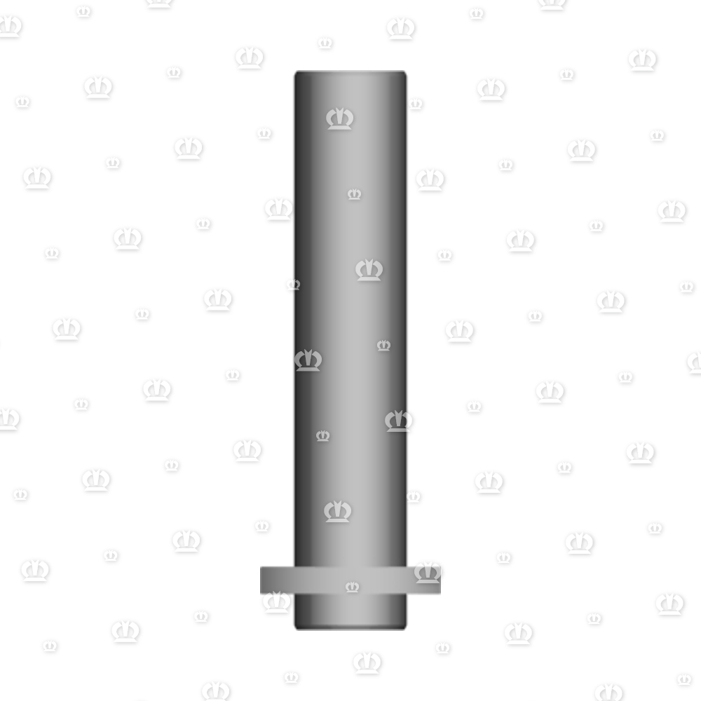 BOLZEN 25X124