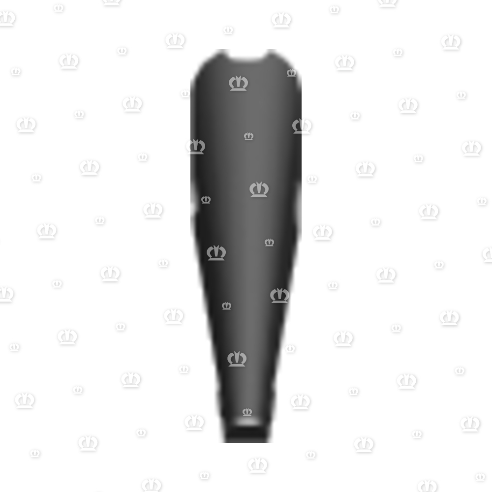 SPITZE