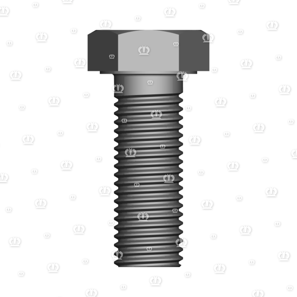 6kt-Schraube M20 x 55