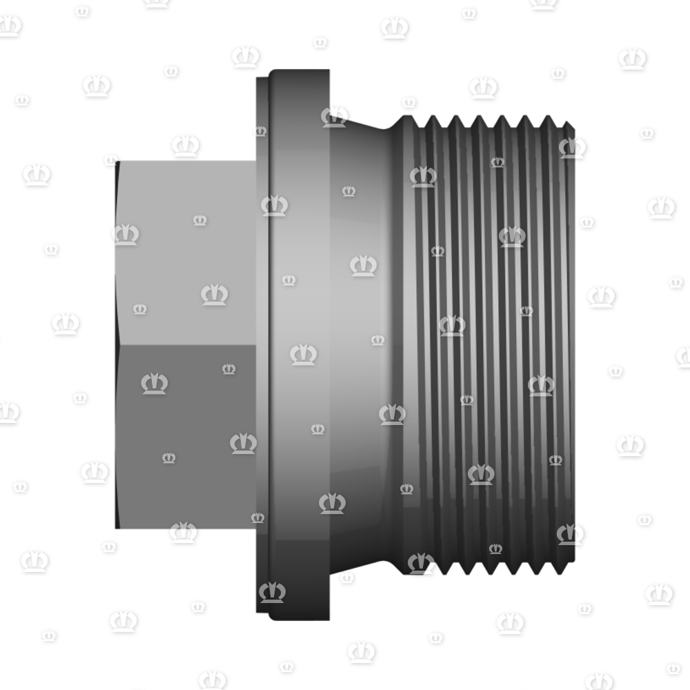 VERSCHLUSSSCHRAUBE M30X1,5