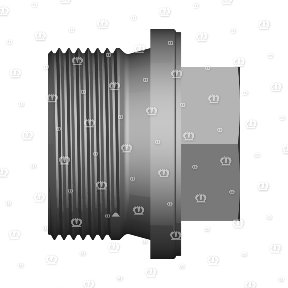 VERSCHLUSSSCHRAUBE M30X1,5