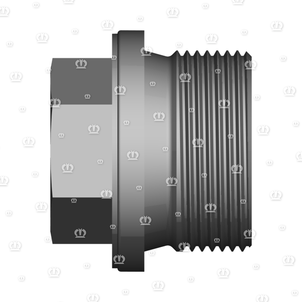 VERSCHLUSSSCHRAUBE M30X1,5