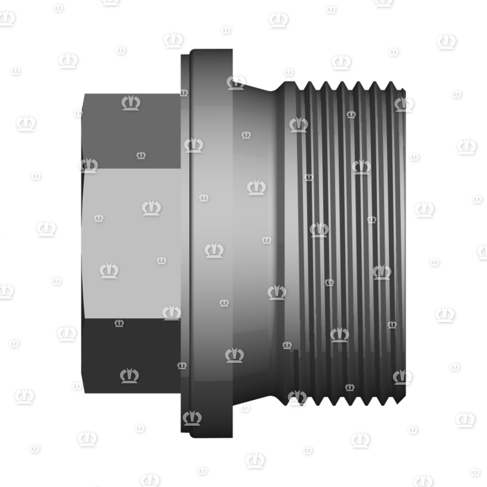 VERSCHLUSSSCHRAUBE M30X1,5