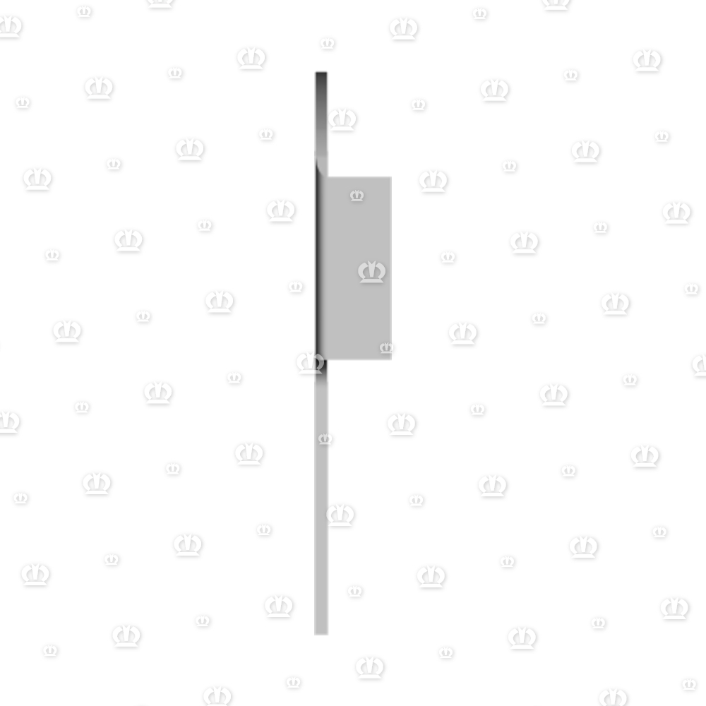 SCHEIBE 31X56X1,6 A3G
