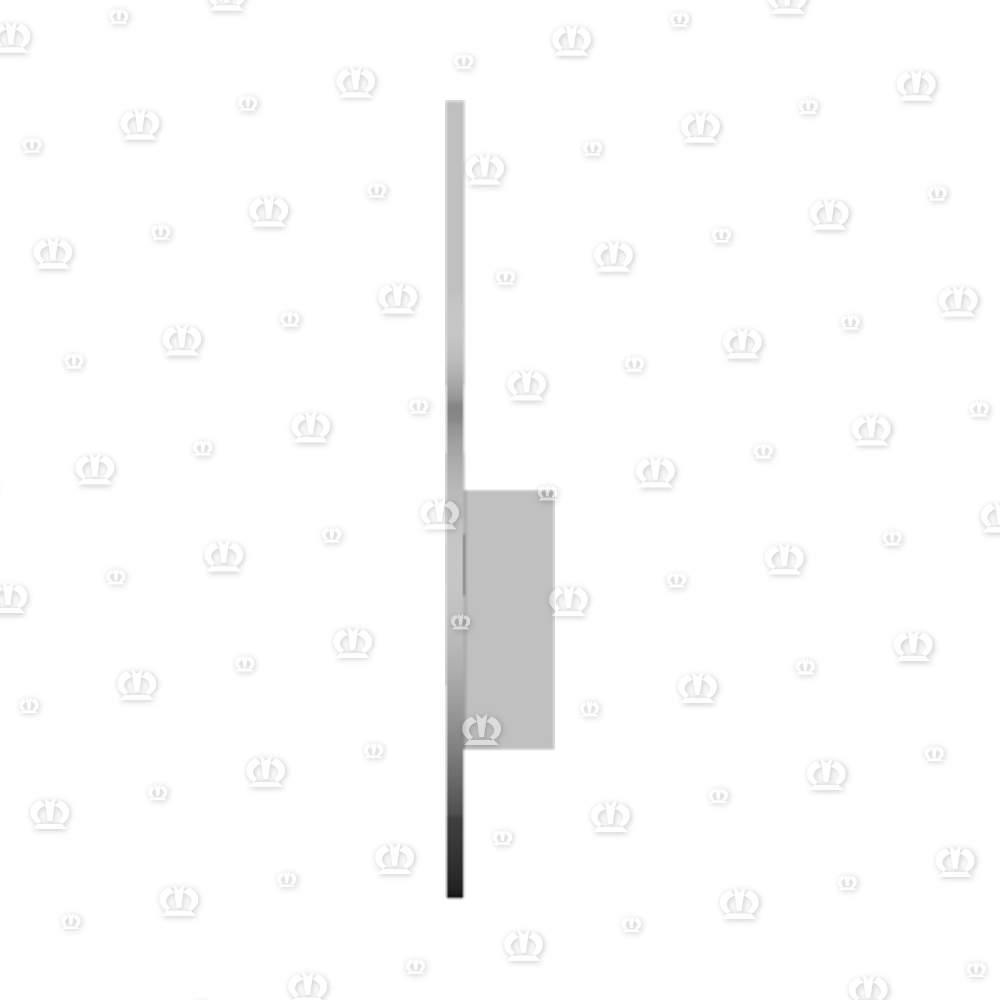 SCHEIBE 31X56X1,6 A3G