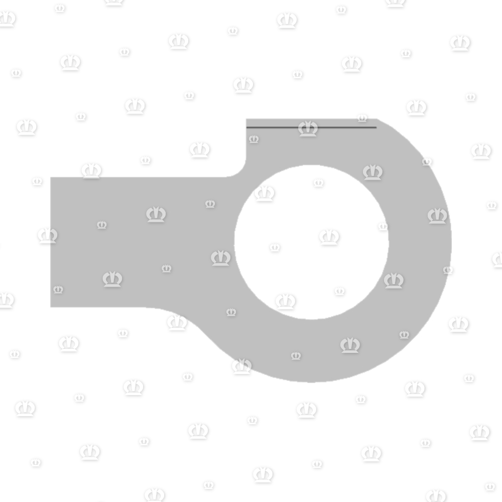 SCHEIBE 31X56X1,6 A3G