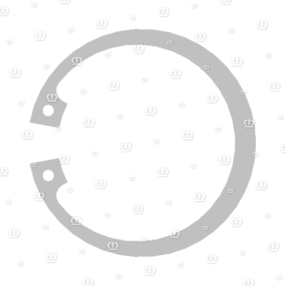 SICHERUNGSRING I 45X1,75