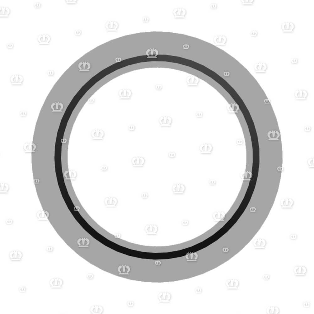 2-SCHNEIDENRING S20 W15
