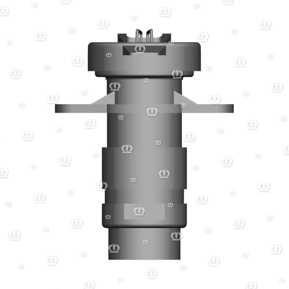 Stecker 2-p Bu schwarz