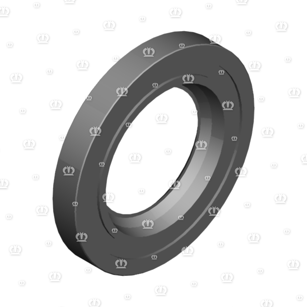 SI.RING 55X100X13 BA-VITON