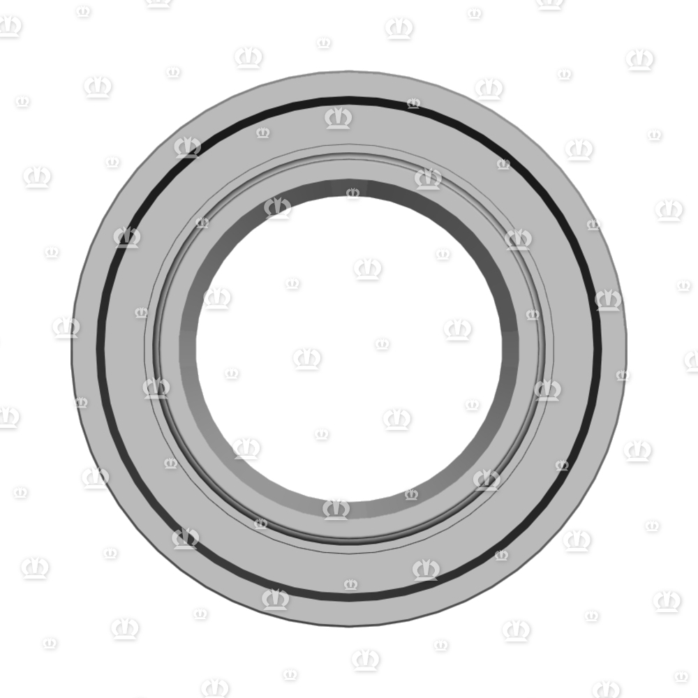 SI.RING 55X100X13 BA-VITON