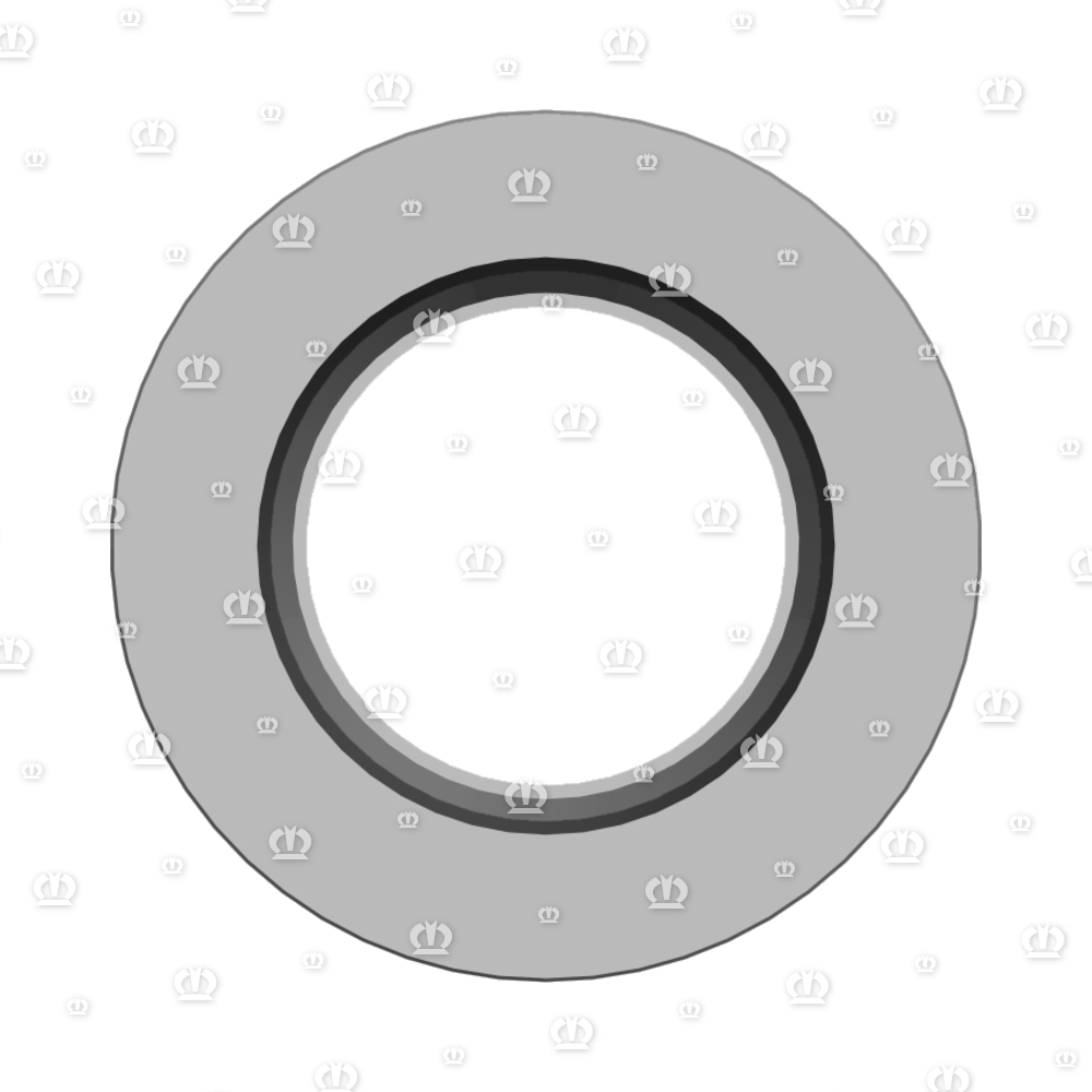 SI.RING 55X100X13 BA-VITON