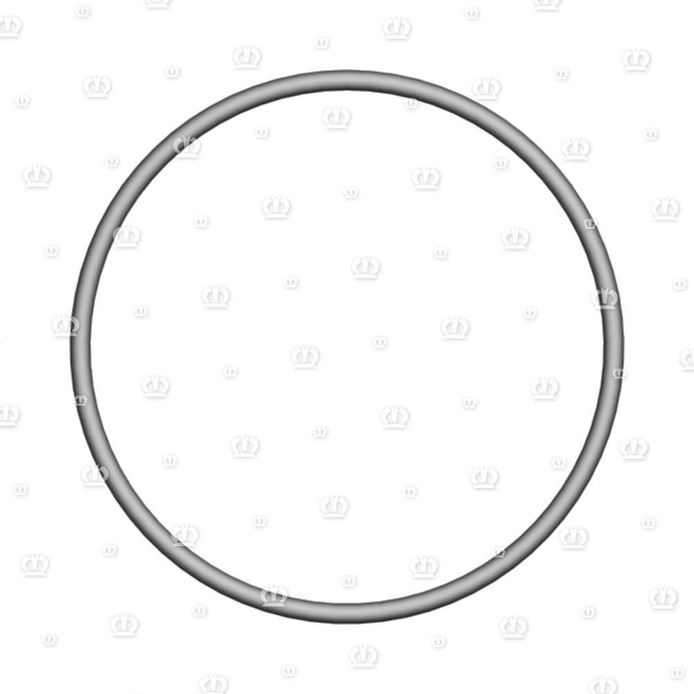 O-RING OR 100-4